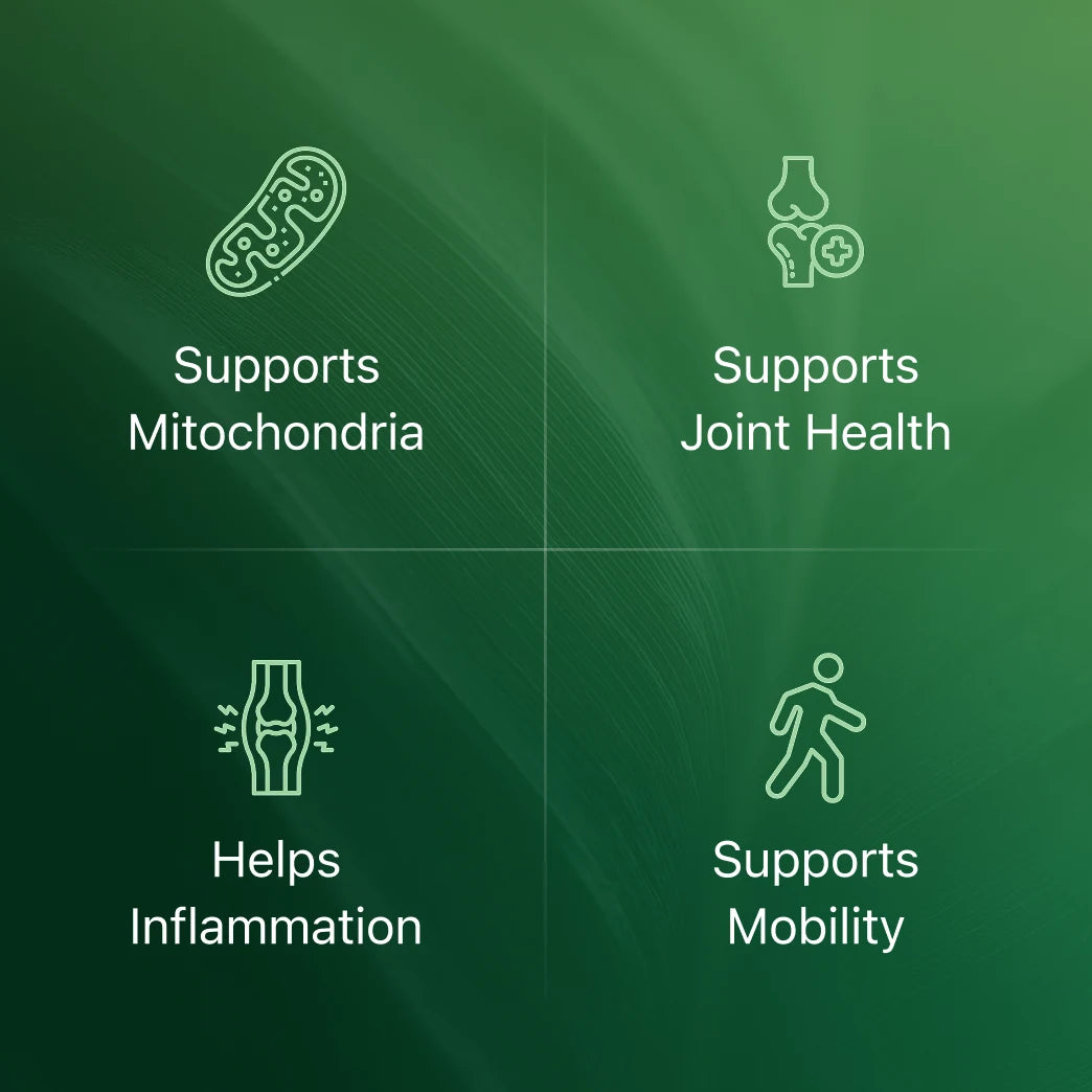 Cevar Amla for Joint Comfort & Mobility