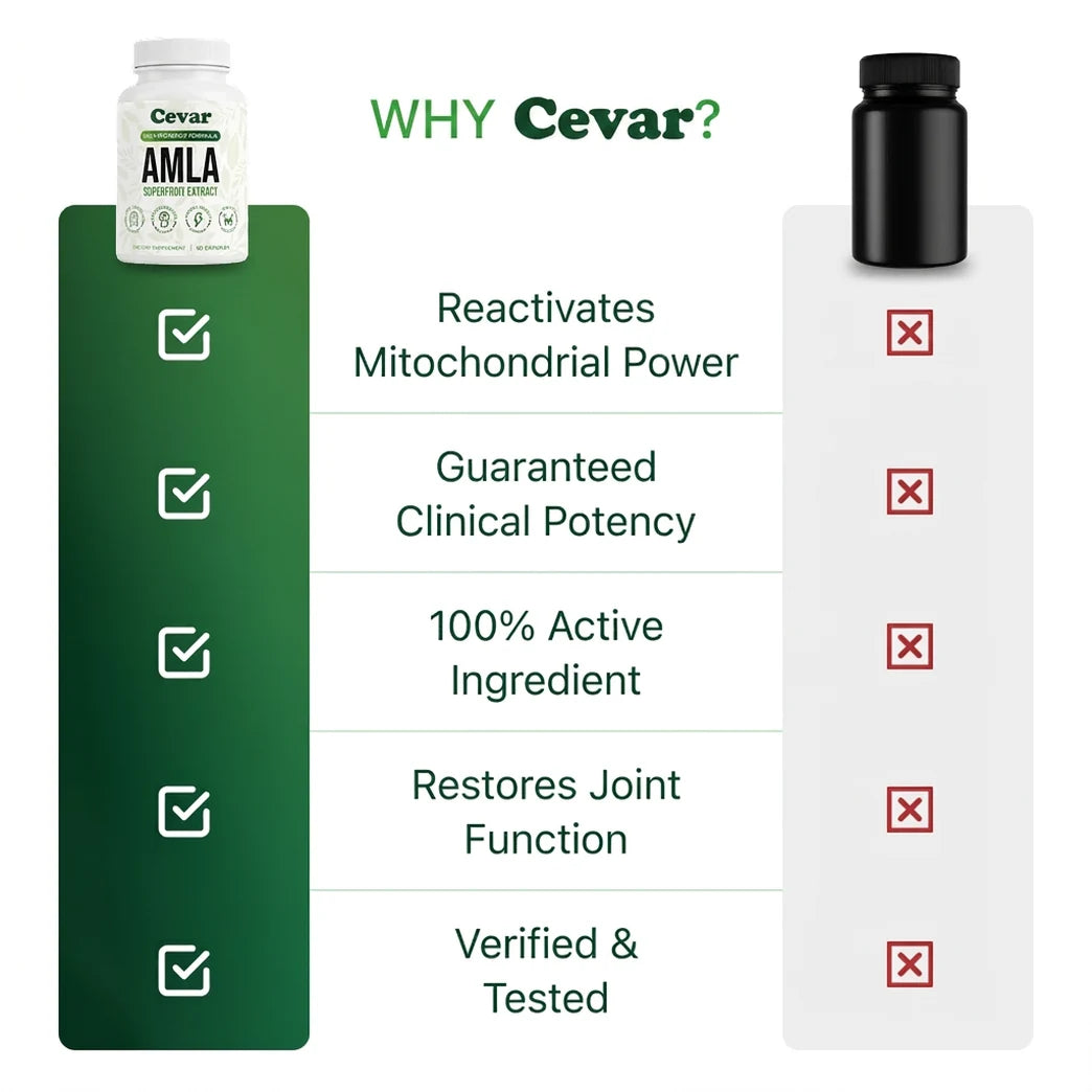 Cevar Amla for Joint Comfort & Mobility